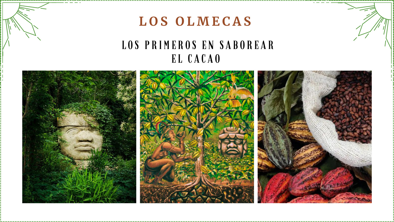 1500 a 400 a.C: Los Olmecas, los primeros humanos en saborear el cacao